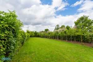 Additional Land- click for photo gallery